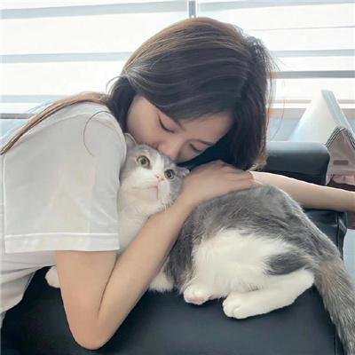 灰姑娘的全新冒险
